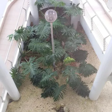 Atlantic Beach-side 아파트 피게이라다포즈