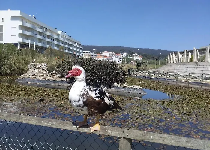 Appartement Atlantic Beach-side *