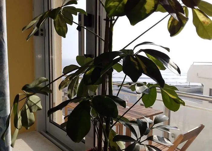 Atlantic Beach-side Appartement *