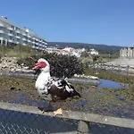 Διαμέρισμα Atlantic Beach-side *