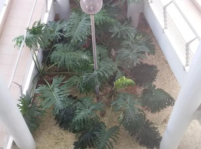 Atlantic Beach-side Apartamento Figueira da Foz