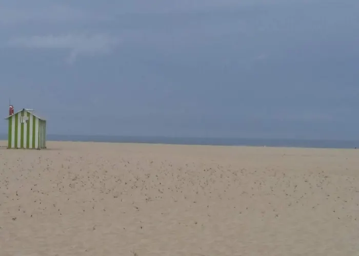 Atlantic Beach-side Figueira da Foz